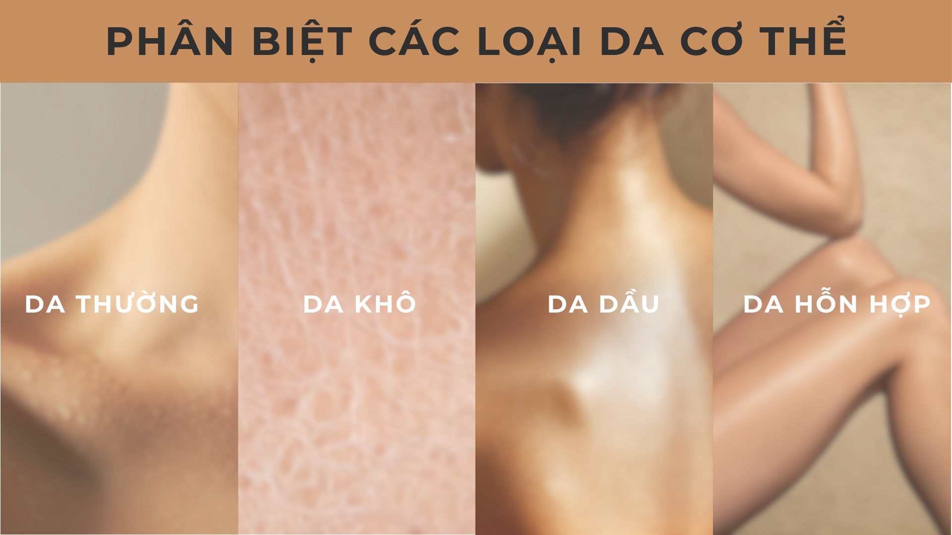 Phan-biet-cac-loai-da-ban-hinh