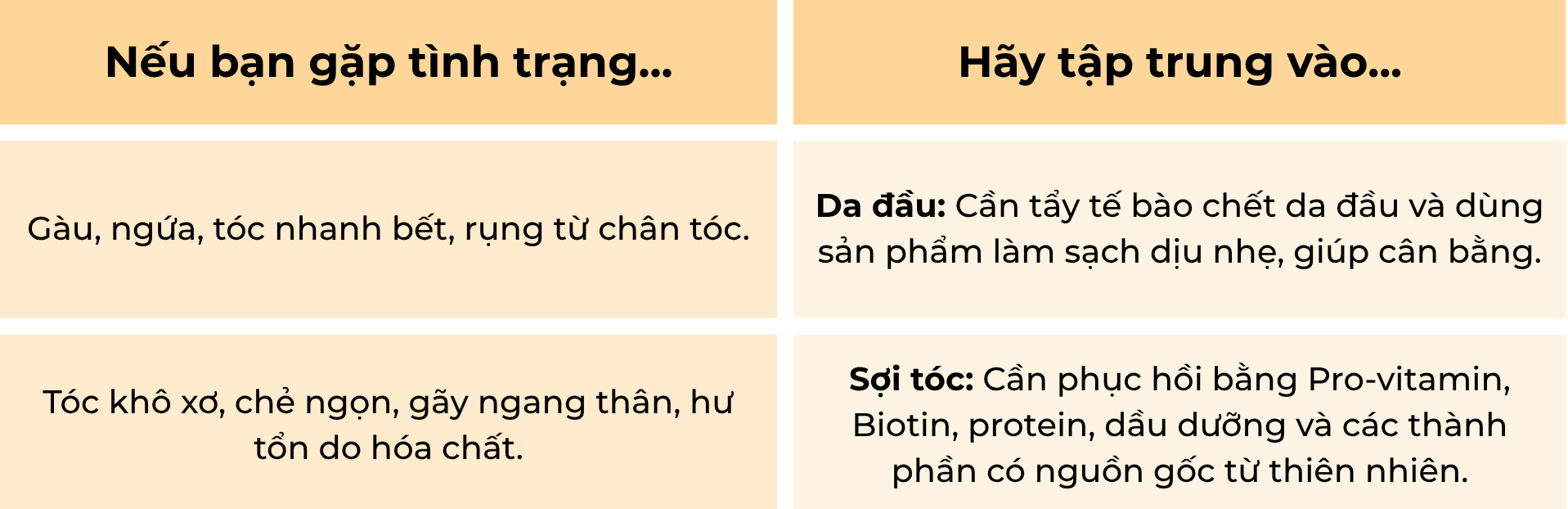 Phan-loai-da-dau-va-soi-toc